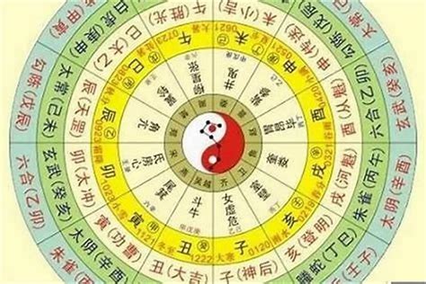 2022八字重量|【2022八字重量】認識你的財富基因！2022八字重量揭開你的命。